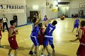 Basket 443052